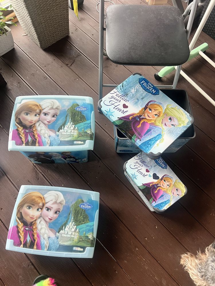 Кутии за съхранение FROZEN