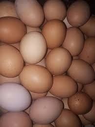 Vând ouă de găină de casă !