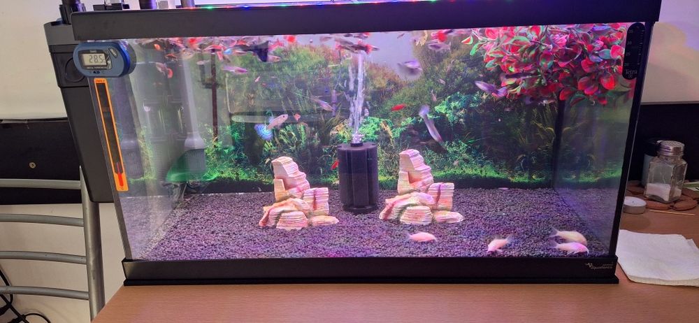 Vând două acvarii, accesorii