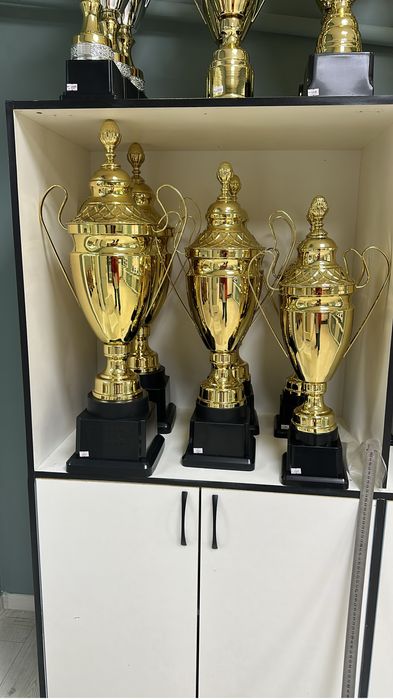 Кубки. Медали . Плакетки. Значки. Стекло . Статуетки