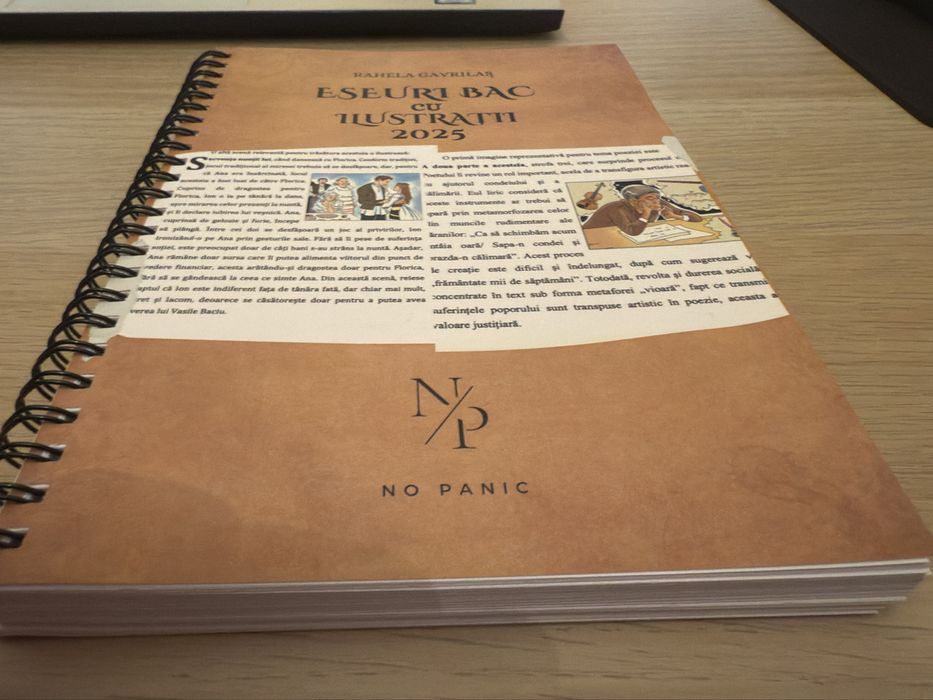 Carte cu eseuri la bacalaureatul de romana