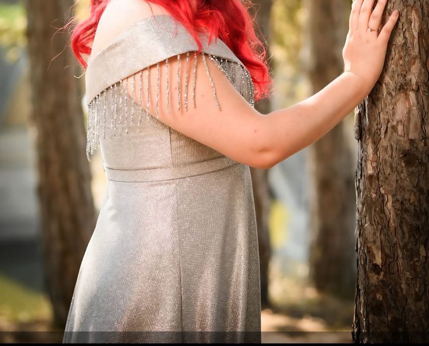 Сребриста официална рокля