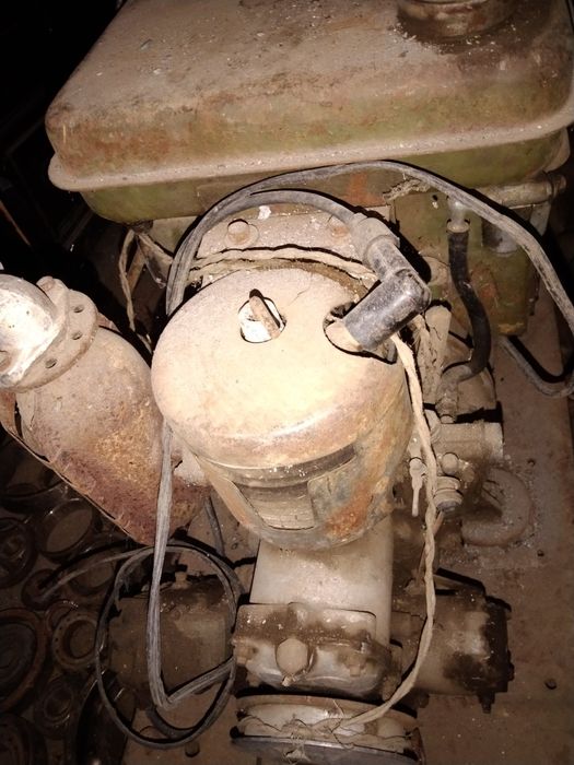 Продам чабанку .