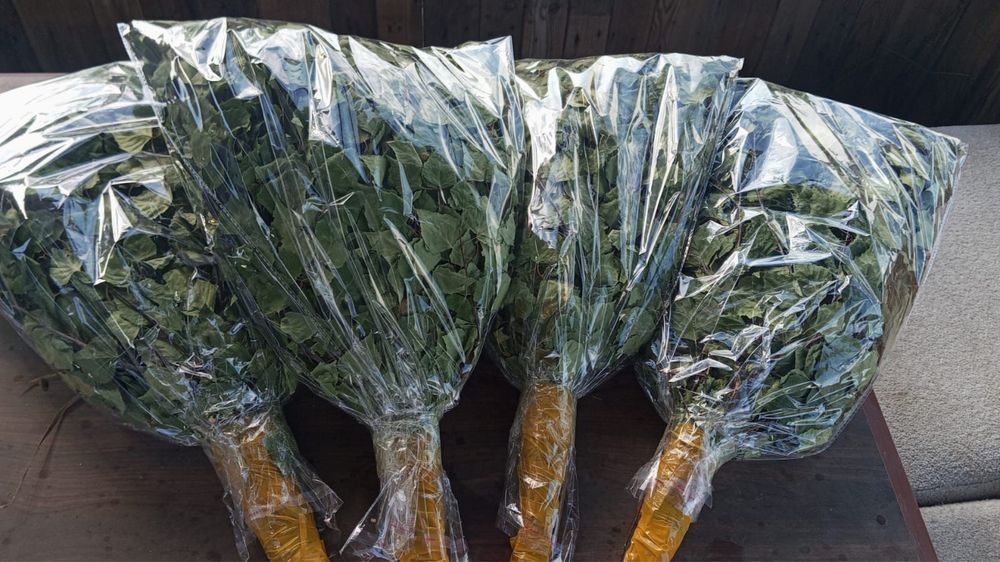 веник береза по 650 тг