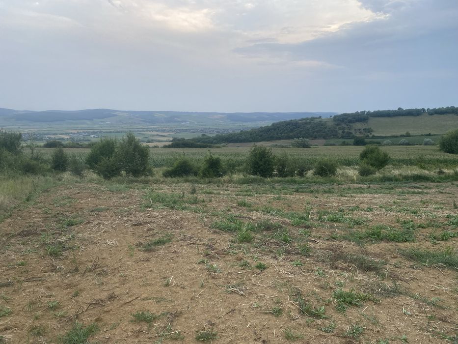 Teren watman 1500 m2