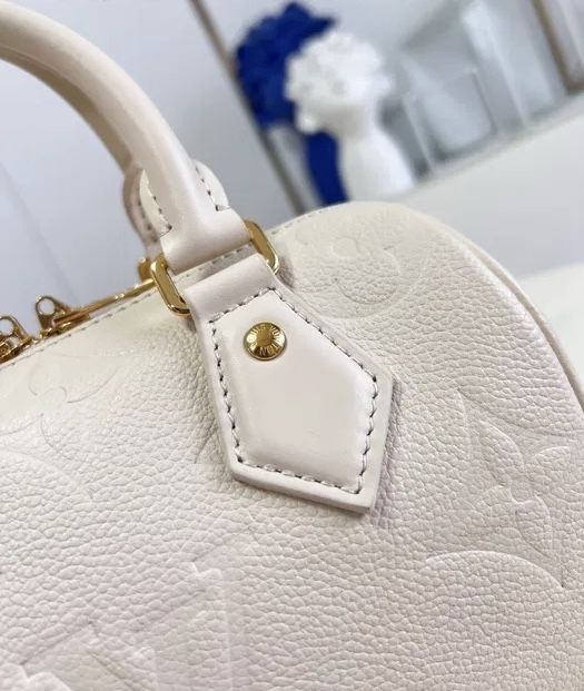 Louis Vuitton Speedy 20