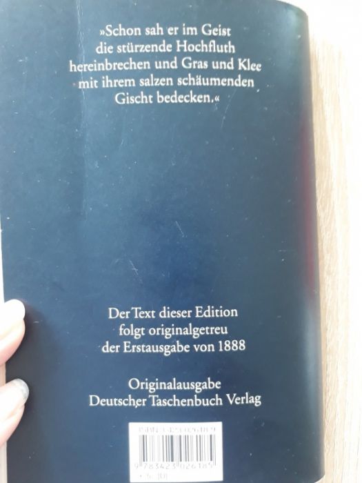 Calaretul din negura/ Der Schimmelreiter -carte