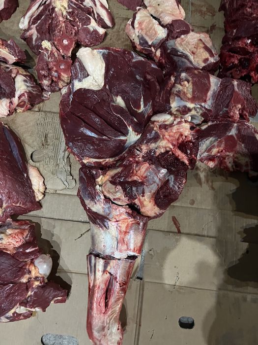 Қасапшы ет бұзу Мясник разделко мясо