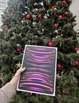 Apple iPad Pro 12.9 M2 256GB