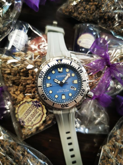 Citizen promaster ice blue BN0165-55l