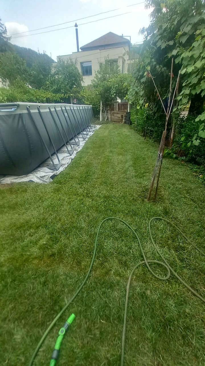 Gazon rulou la cel mai bun pret