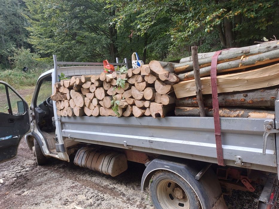 Vand lemne de foc fag crăpături