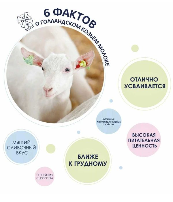 Козье молоко ешки сути натуральный продукт