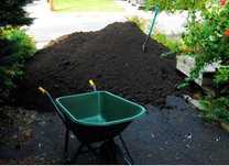 Pamant negru vegetal