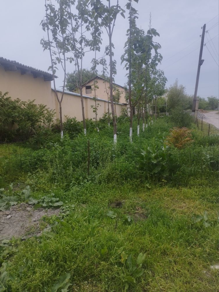 Срочно Продаётся Земельный Участок
