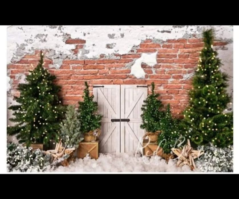 Vând doua fundaluri foto de Crăciun
Material PVC achiziționate de la R