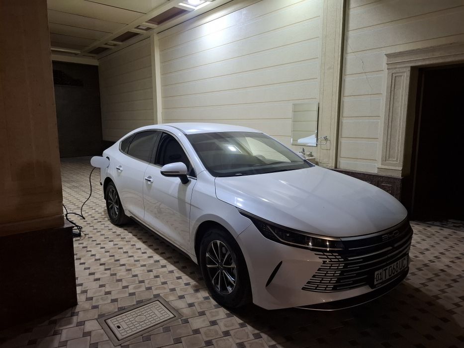 Byd chazor 1pozitsa 55km