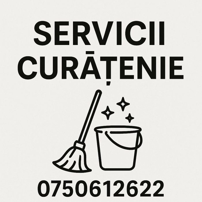Curățenie profesională case & apartamente – preț accesibil