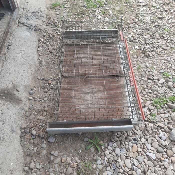 Cușcă 50 prepelite