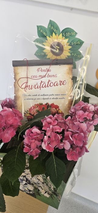 Ofer meditații elevilor din ciclul  primar