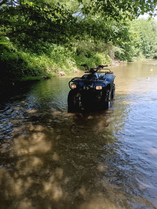 ATV 300 cu trepte de forta
