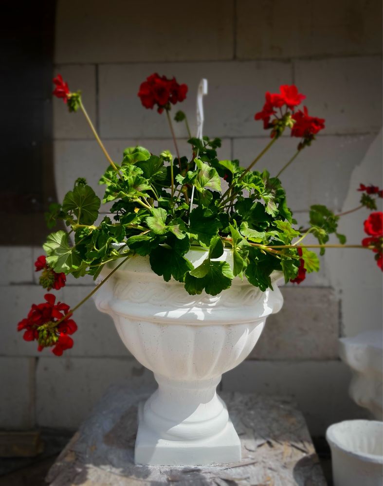 Decoratiuni gradina