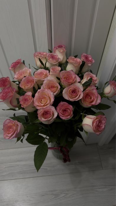 Цветы голландсая роза