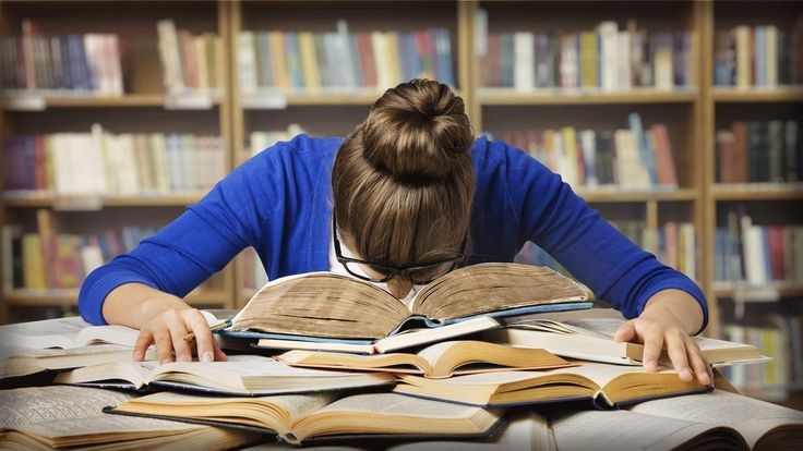 Отчёты, дневники, доклады