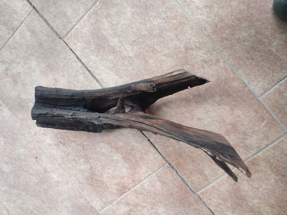 Vand radacini si pietre pentru acvariu - calitatea I. gata fierte