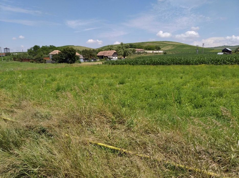 6.600 MP Intravilan, la marginea soselei asfaltate DJ 151 A, Mures