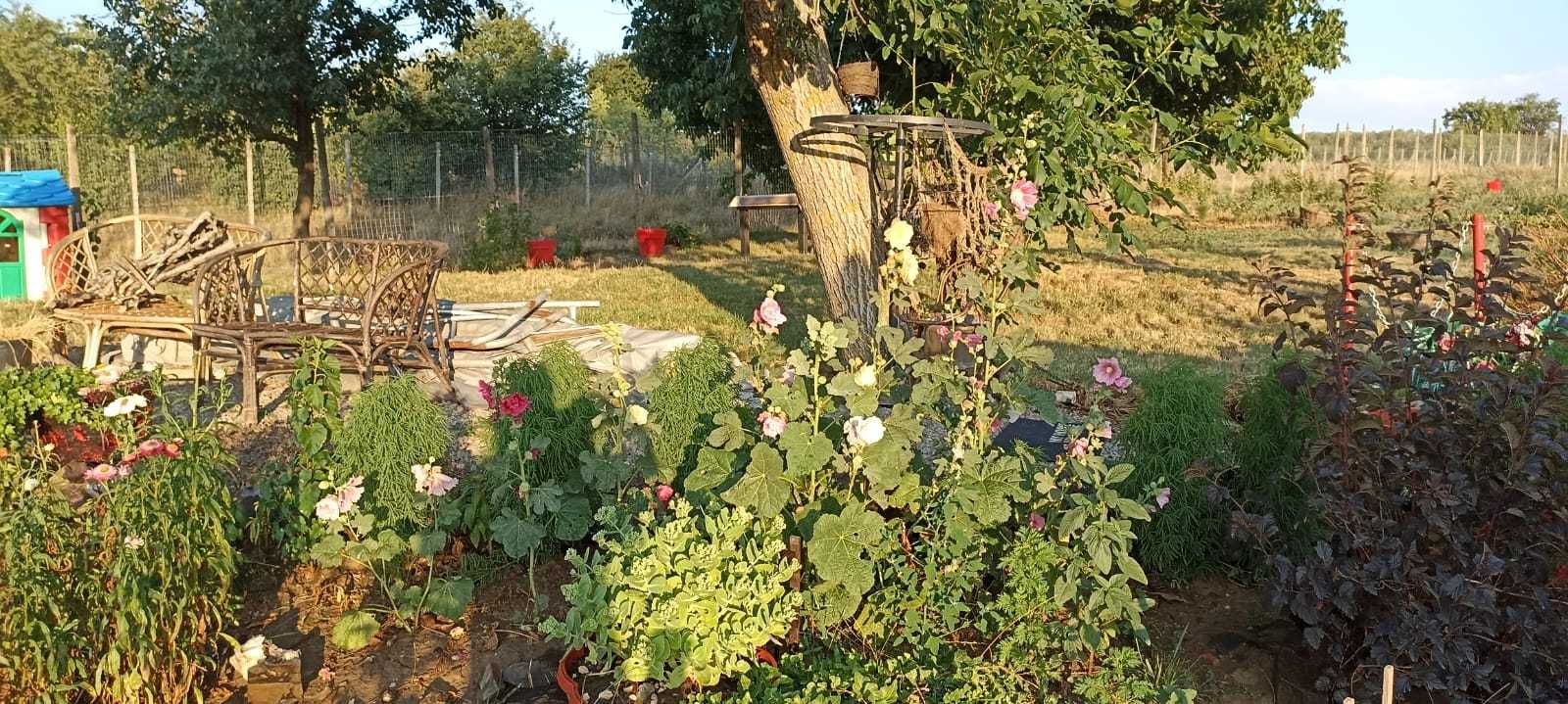 Se vinde teren de 5700m2 in localitatea Cerbu, judetul Tulcea.