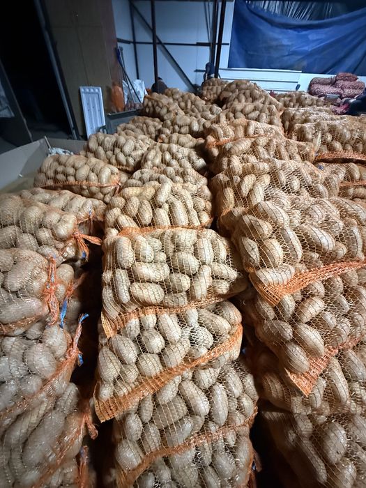 Cartofi albi soi:prada