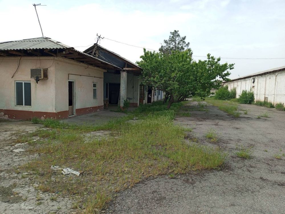Бектимирский район Йик-Ата Земеля 93 соток