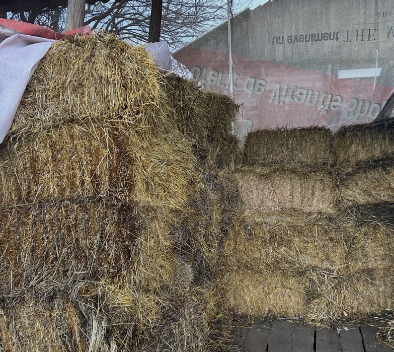 Baloti lucerna ultimele coase