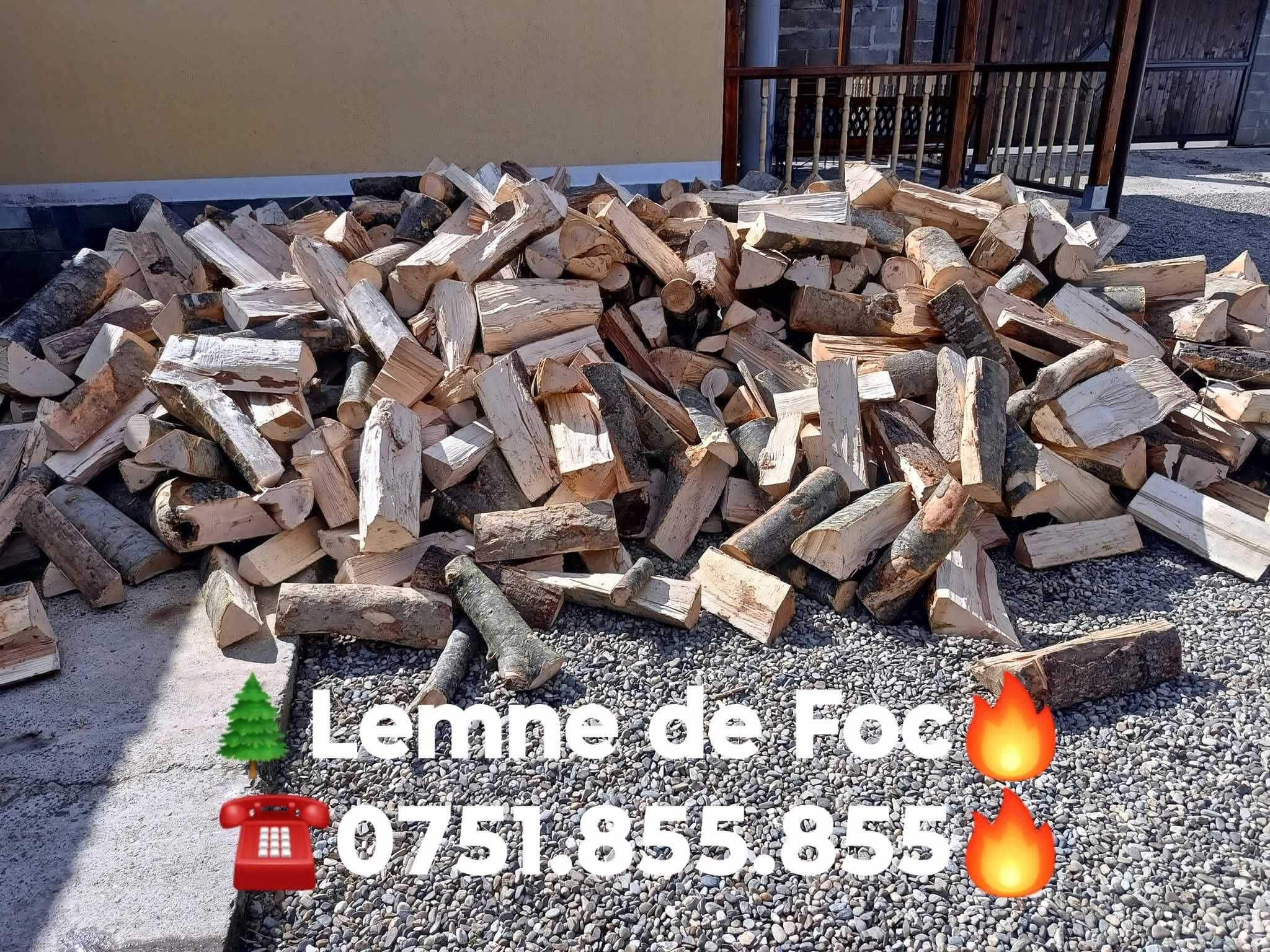 Lemne de foc fag cantitate corectă la pret corect