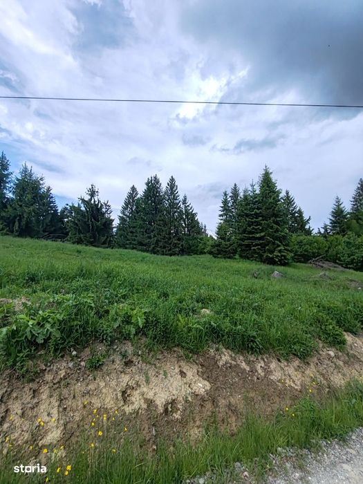 Teren 4150m Colibita