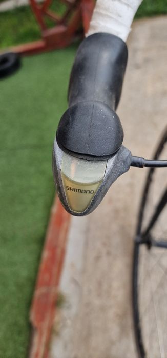 Bicicleta Peak cycle semicursiera