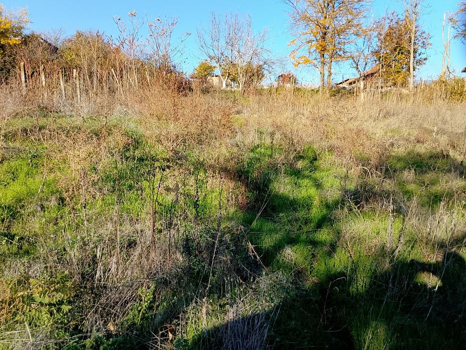 Двор в село Пдем