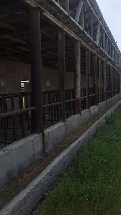 Ferma sotiladi 1gektar 10 sotix