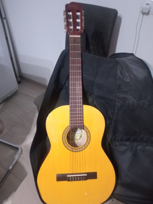 Chitara Hora student N de la Reghin