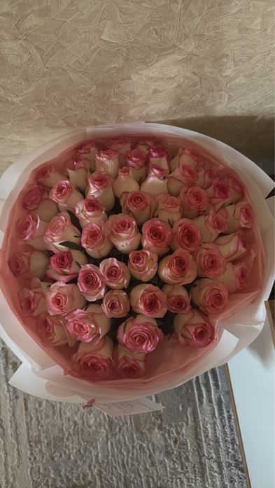 Продам цветы. Гулдер сатылады