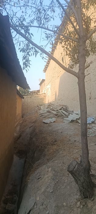 Shaharni jgaridan Afsonani orqasidagi koʻchadagi hovlimz