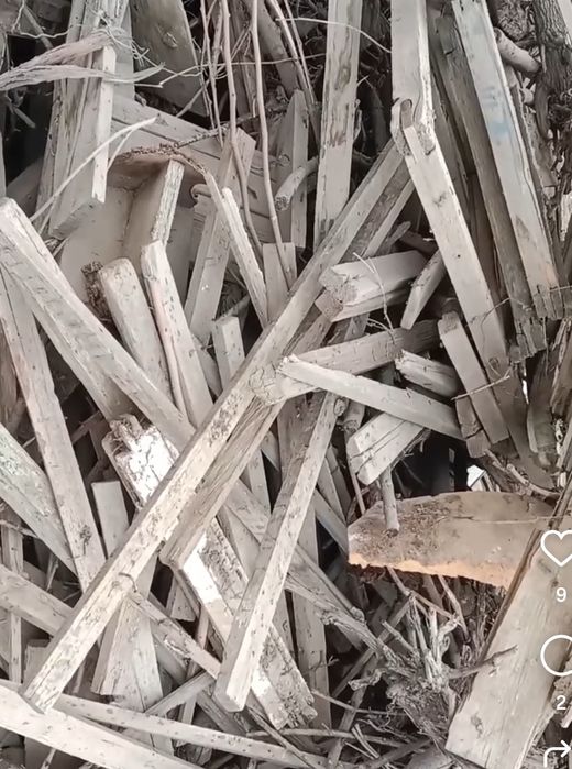 Кунда утин O'tin kunda bor sotiladigan