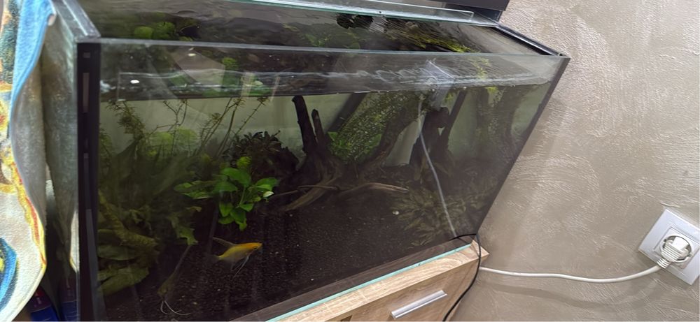 Аквариуми 2 броя