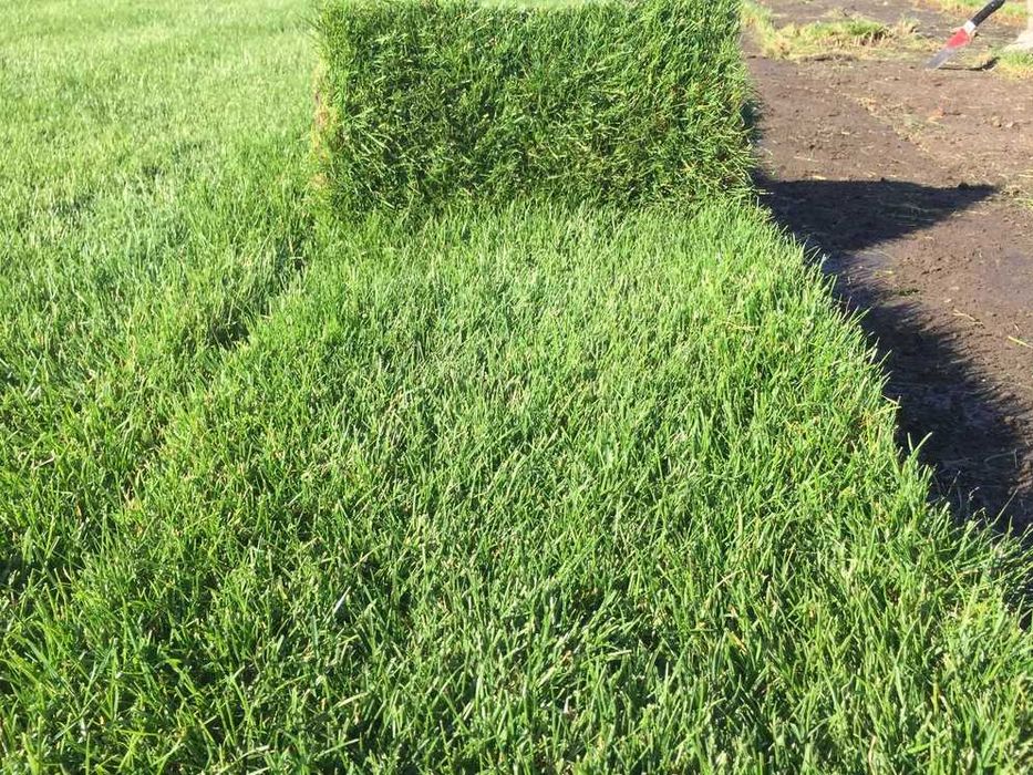 Gazon Rulou Sisteme de Irigare