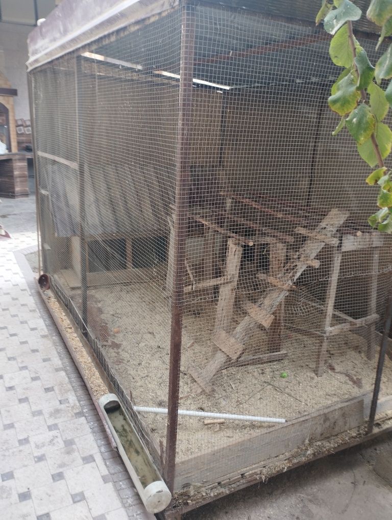 Товукхона, курятник