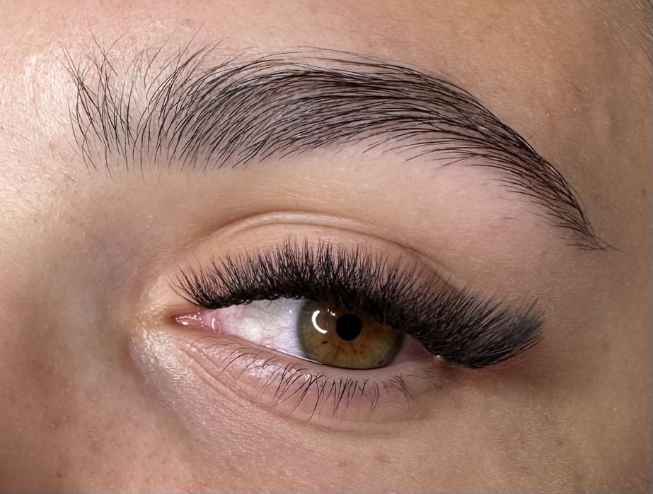 Aplic extensii gene 2/3/4D (colentina)