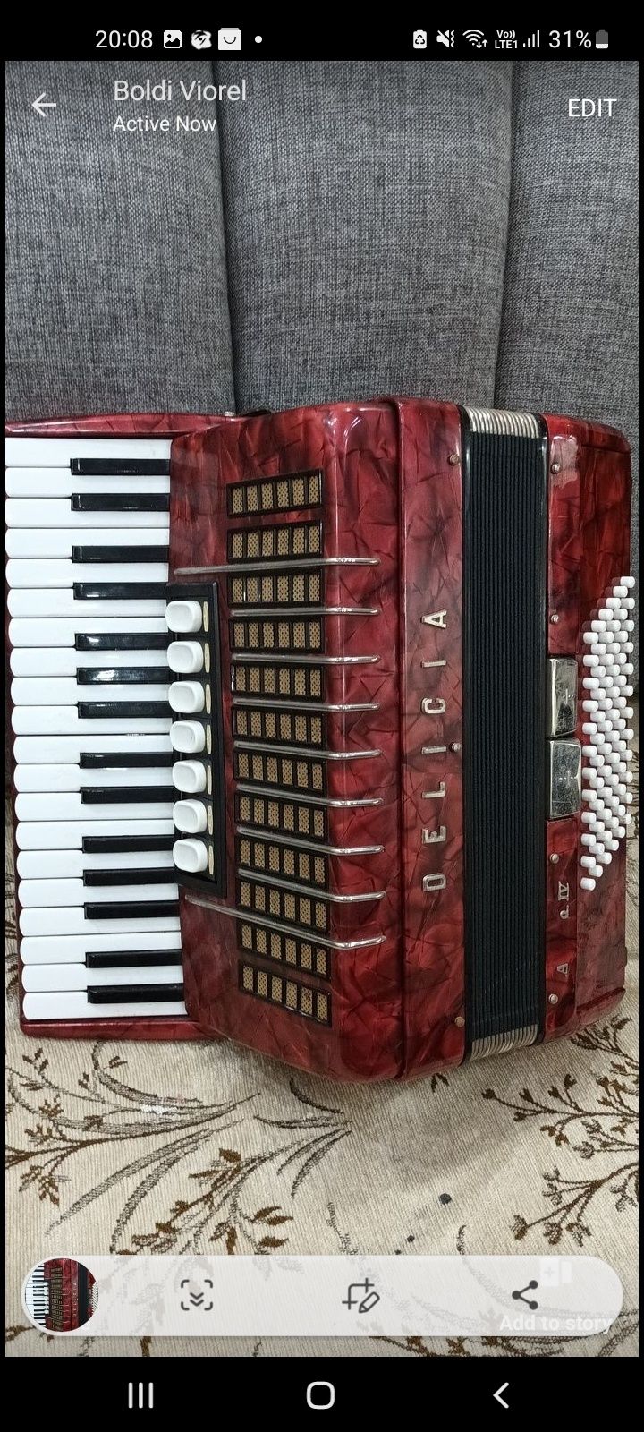 Acordeon DELICIA