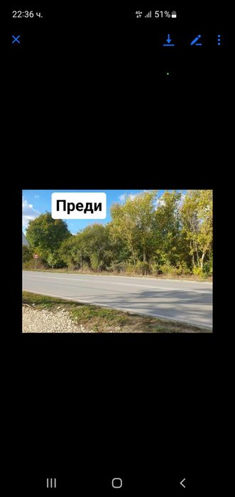 Рязане на храсти,растителности ,опасни  дървета ,парцели и дворове