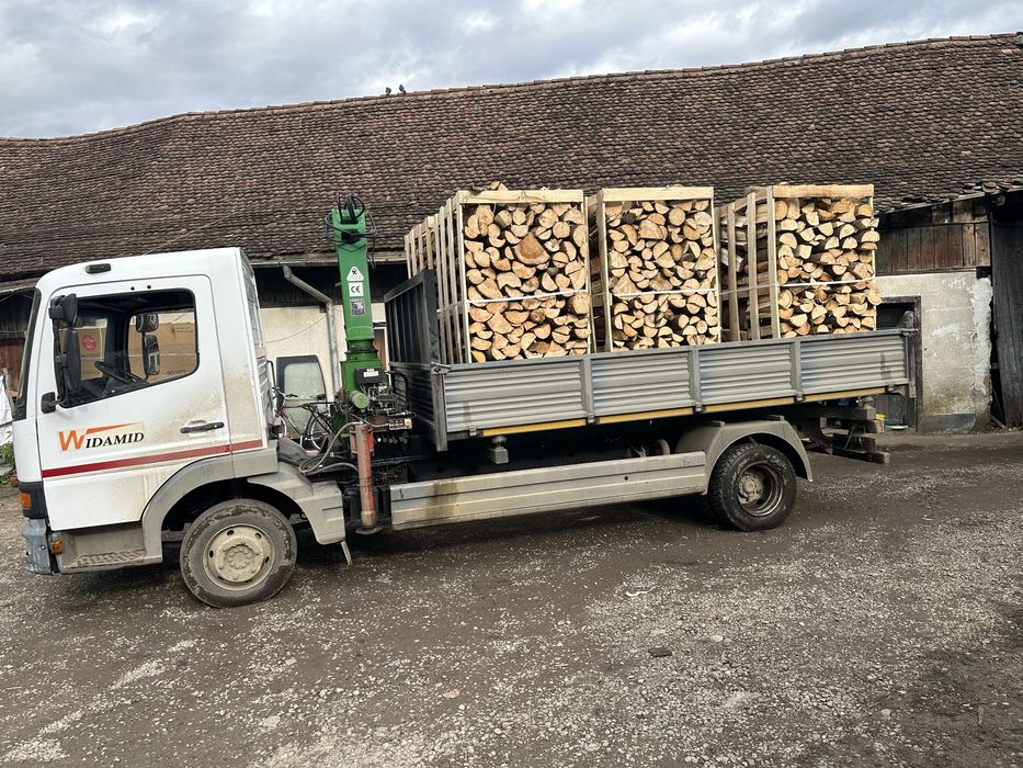 Lemn foc Fag paletat dimensionat